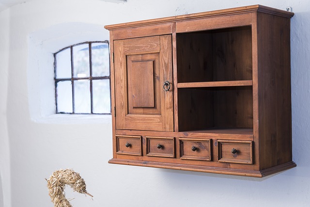 Cabinets de curiosités, une passion sous l'Ancien Régime